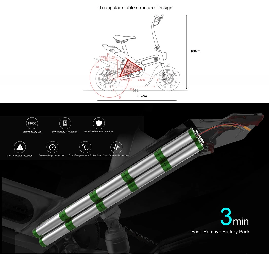 Chirrey 14 Inch Mini Folding Electric Bike